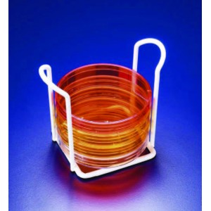 Petri dish rack